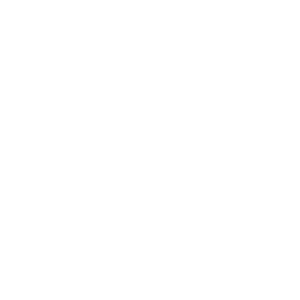 Logo Sam & Tino